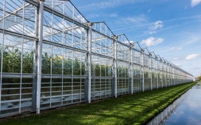 Afstand voorkomt ‘samenstel van eigendommen’ voor WOZ